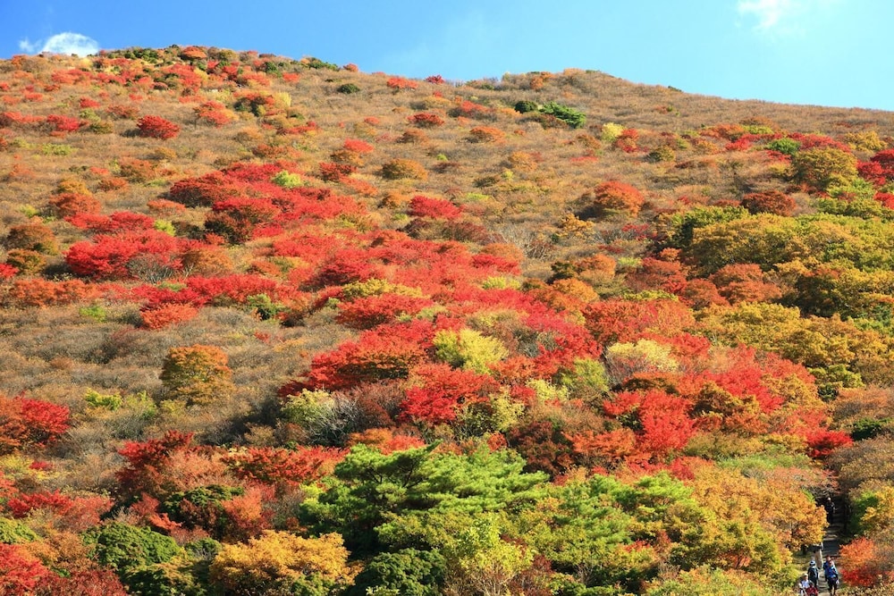 スパ・グリネス 大分