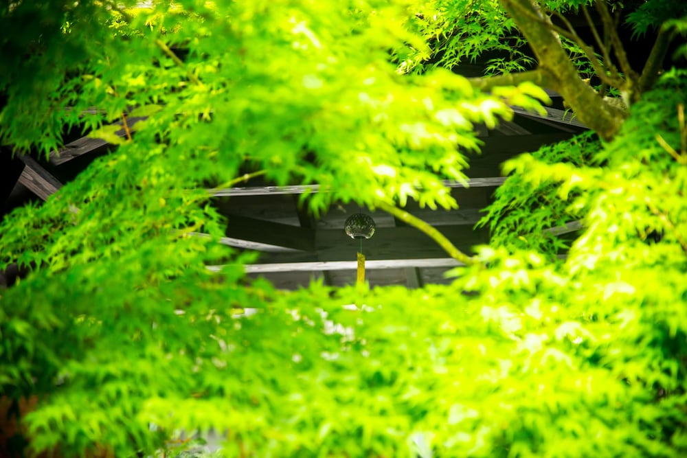 湯布院温泉 ひすいの宿 黎明 大分