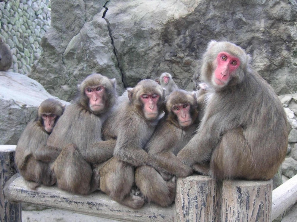 ゲストハウス団欒 大分