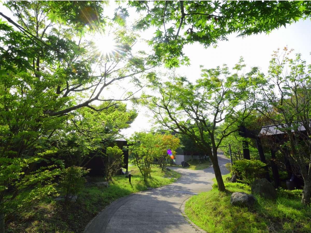 奥宿　無相荘 大分