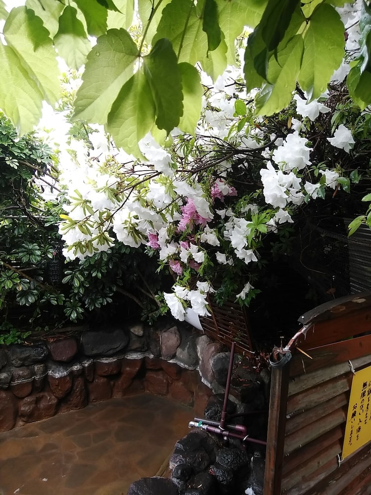 入湯貸間 陽光荘 大分