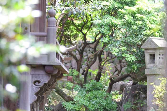 IN BLOOM BEPPU 大分