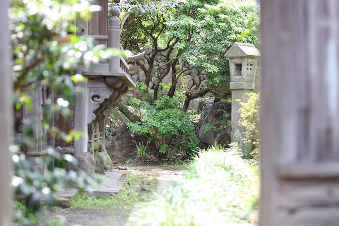 IN BLOOM BEPPU 大分