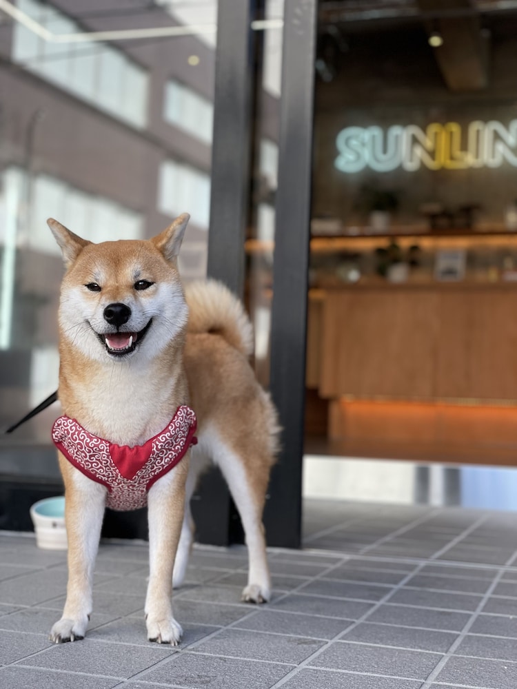ゲストハウス サンライン別府 大分