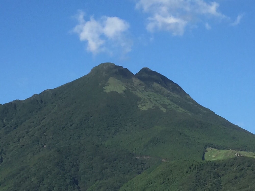 由布院 六花 大分