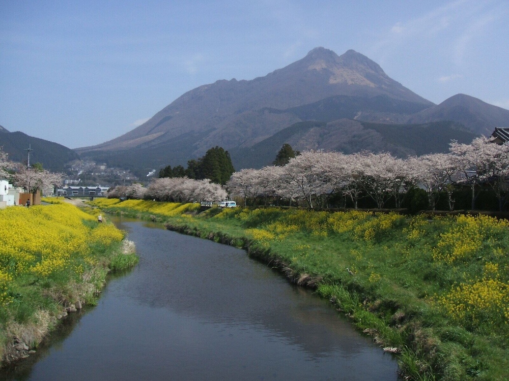 由布院 山ぼうし 大分