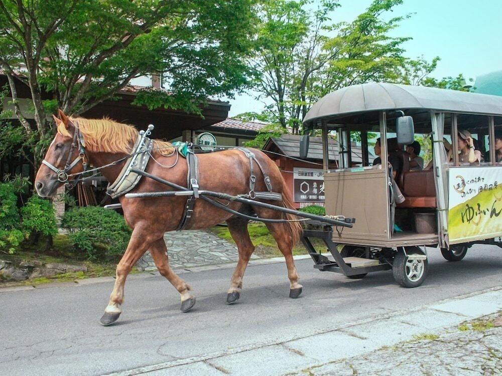 由布院温泉 旅館光の家 大分