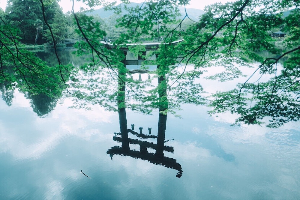 由布院温泉 旅館光の家 大分