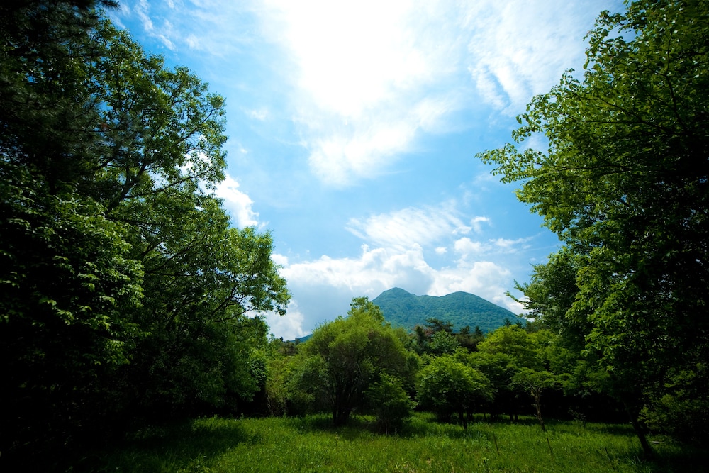 湯布院 塚原高原 山荘 どんぐり 大分