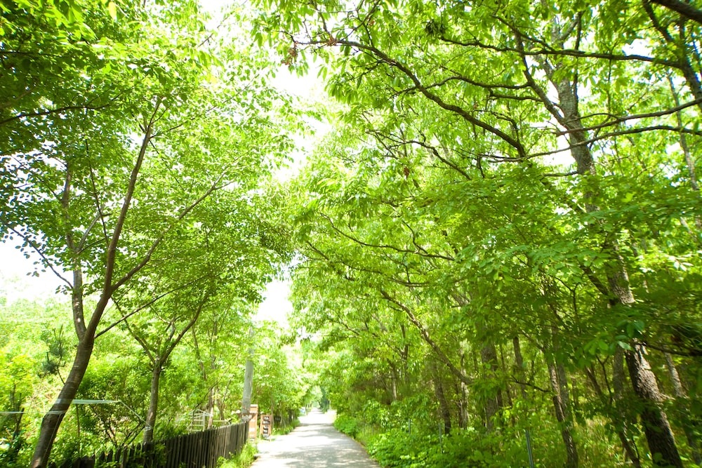 湯布院 塚原高原 山荘 どんぐり 大分