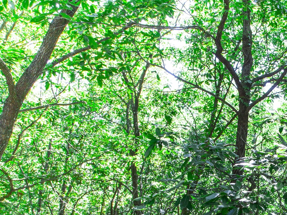 湯布院塚原高原　絶景の宿　恵里菜 KUMAGAI BOKUJO 大分