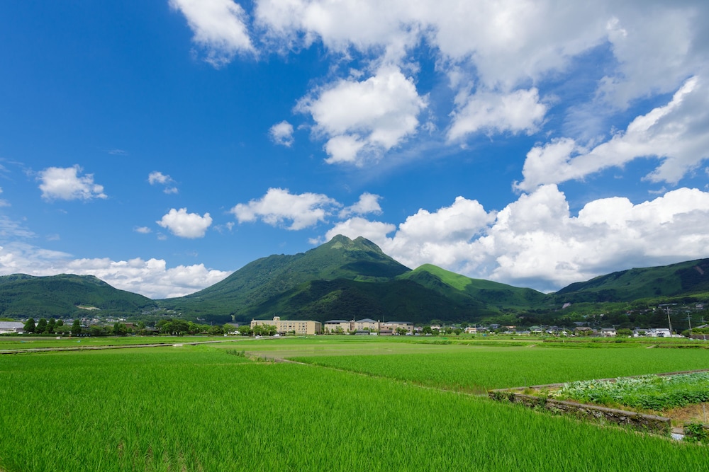ペンション 木綿恋記 大分