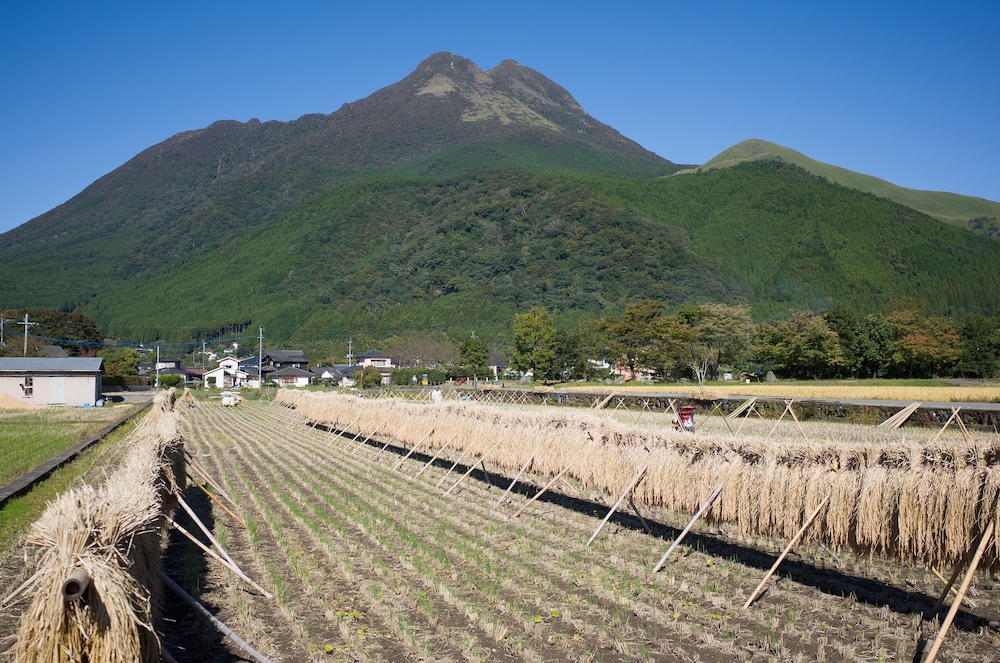 ペンション 木綿恋記 大分