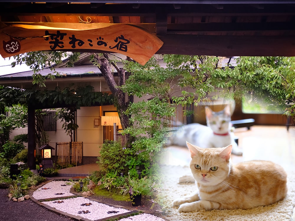 ゆふいん 笑ねこの宿 大分