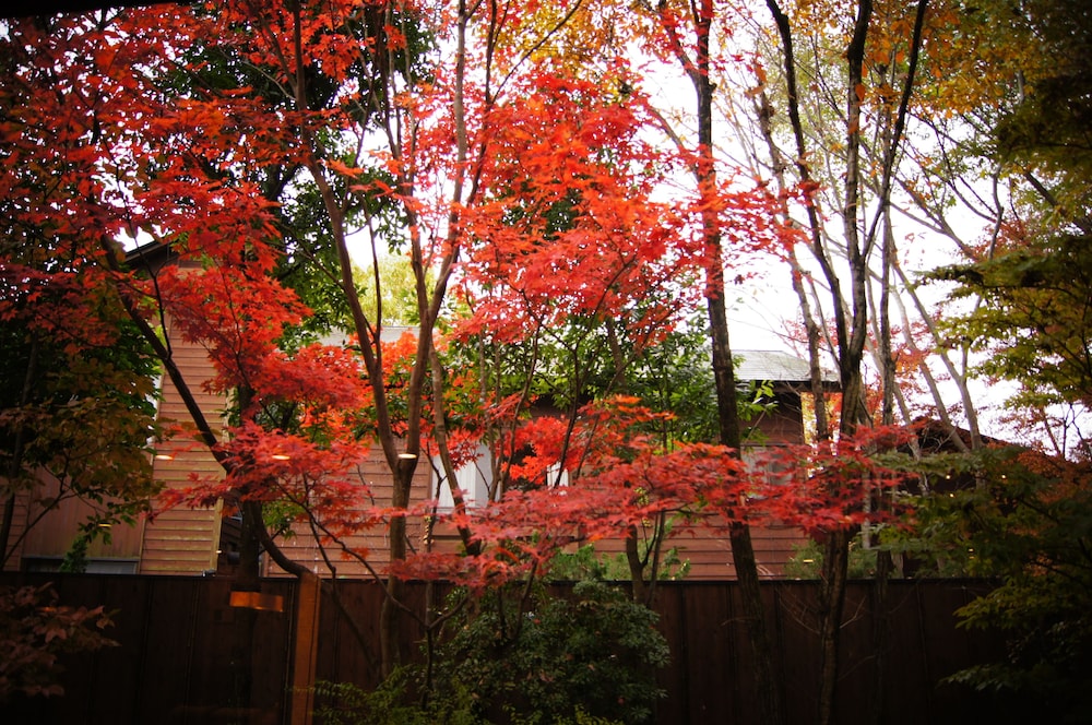 由布院温泉 はなの舞 大分