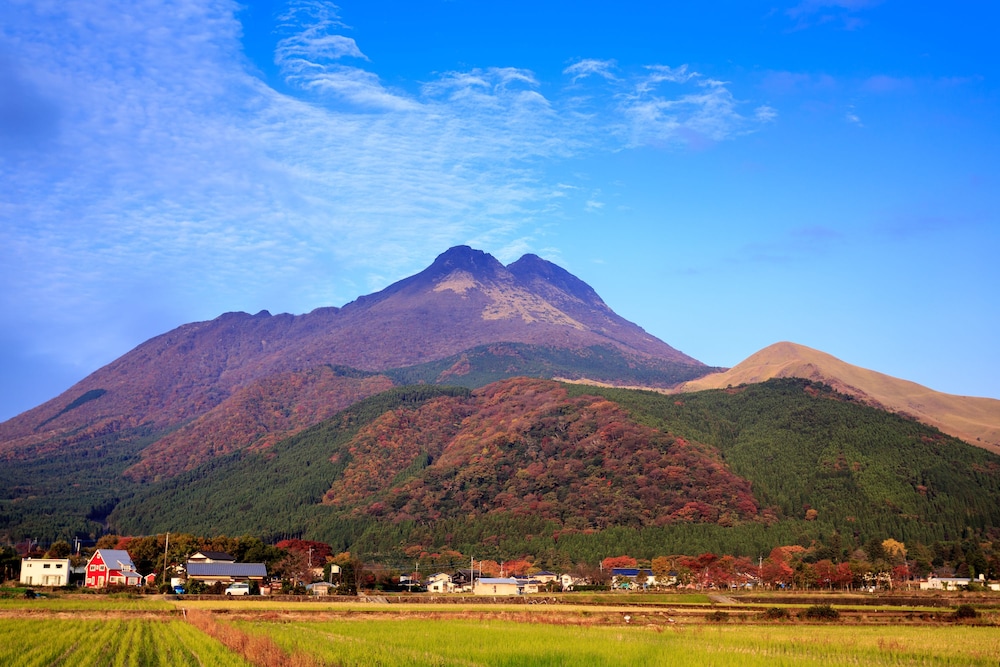 由布院温泉 はなの舞 大分