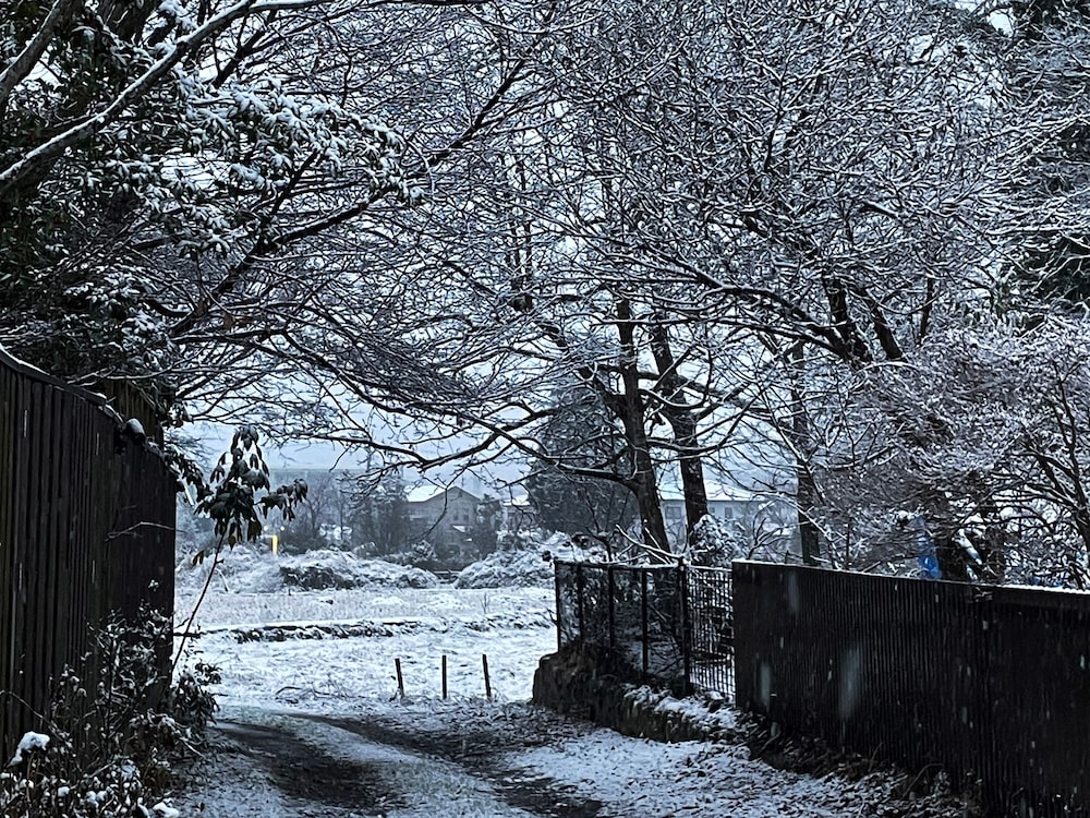 由布院温泉 はなの舞 大分