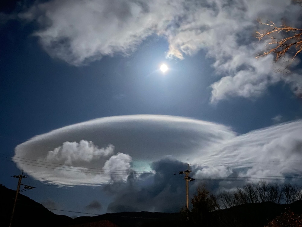 由布院温泉 はなの舞 大分
