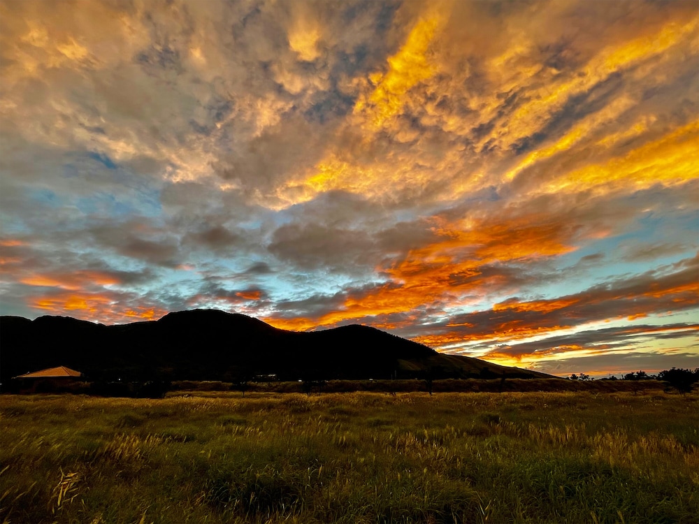 由布院温泉 はなの舞 大分