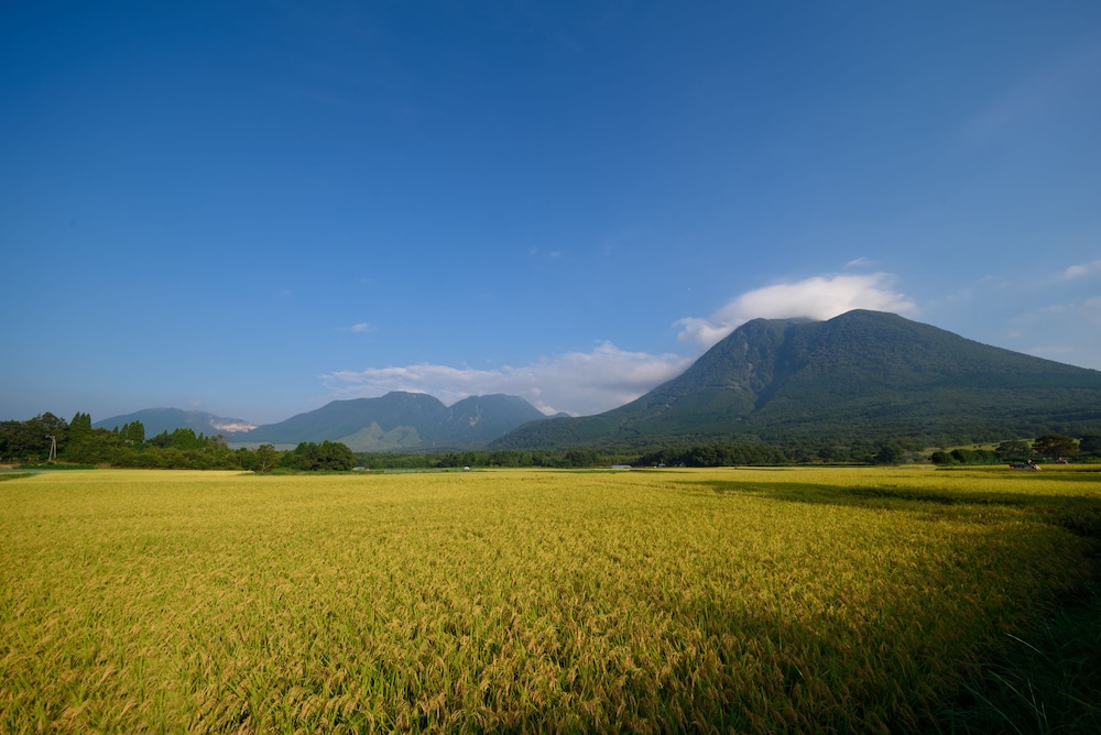 SENSE OF WONDER 由布岳山麓グランピングリゾート 大分