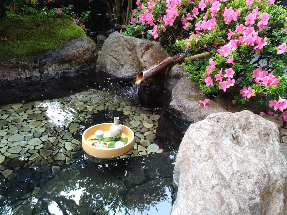 五輪花 大分