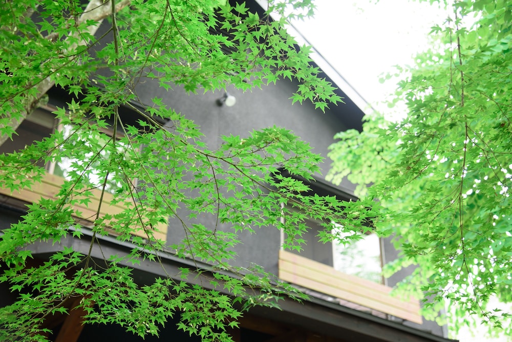 由布院 いよとみ 大分