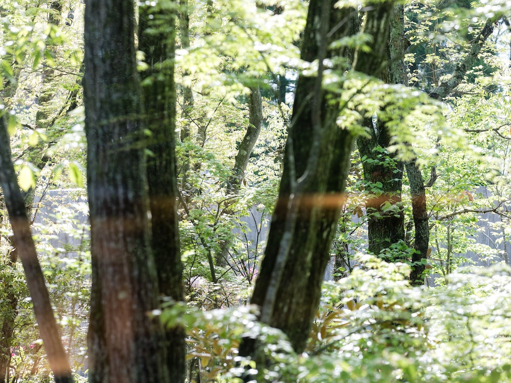 ゆふいん 山荘 わらび野 大分