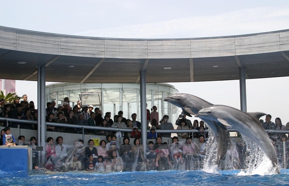 天然温泉白糸の湯ドーミーイン大分 大分