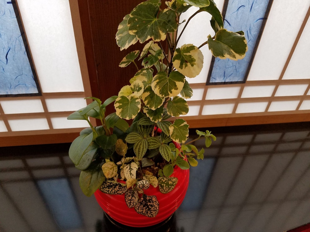 ホテル＆レストラン KIZAN倶楽部 大分