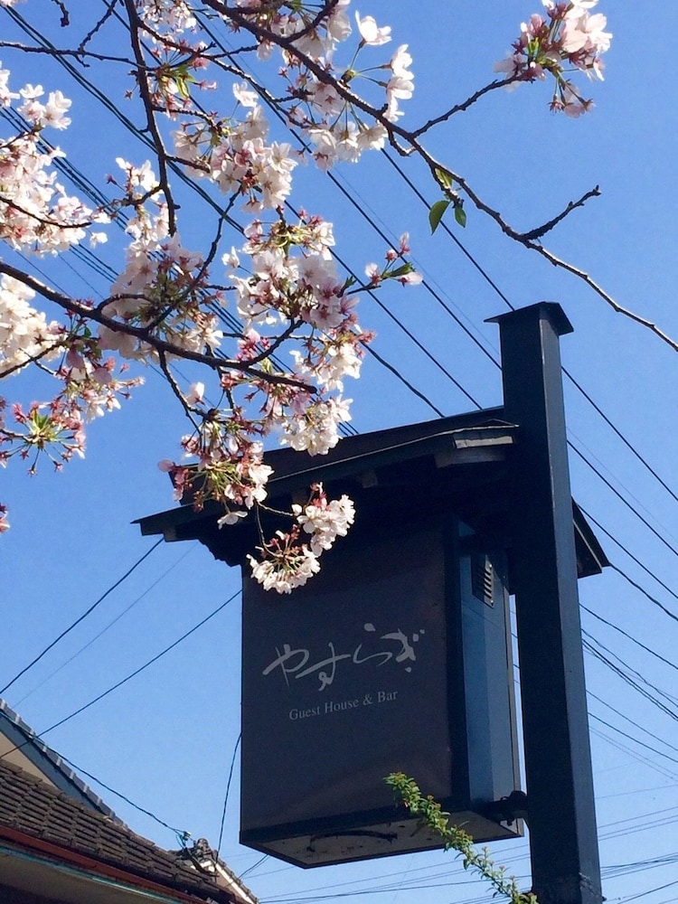 やすらぎゲストハウス&バル 大分