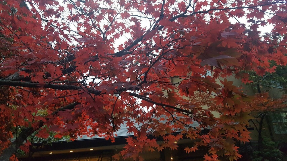 季の郷 山の湯 大分