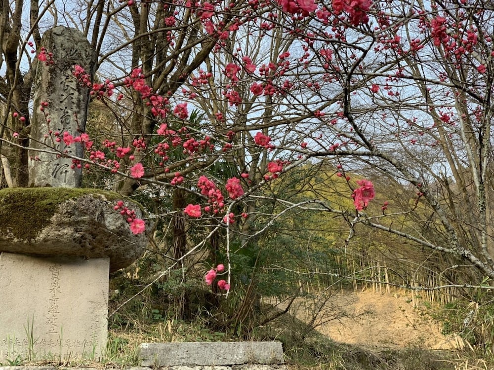 季の郷 山の湯 大分