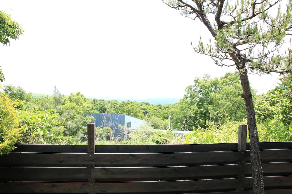 オーベルジュ ア マ ファソン 大分