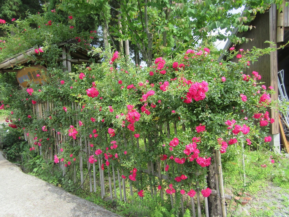 農家民泊青柳庵 大分