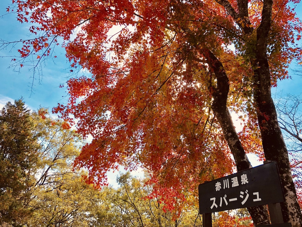 赤川温泉スパージュ 大分