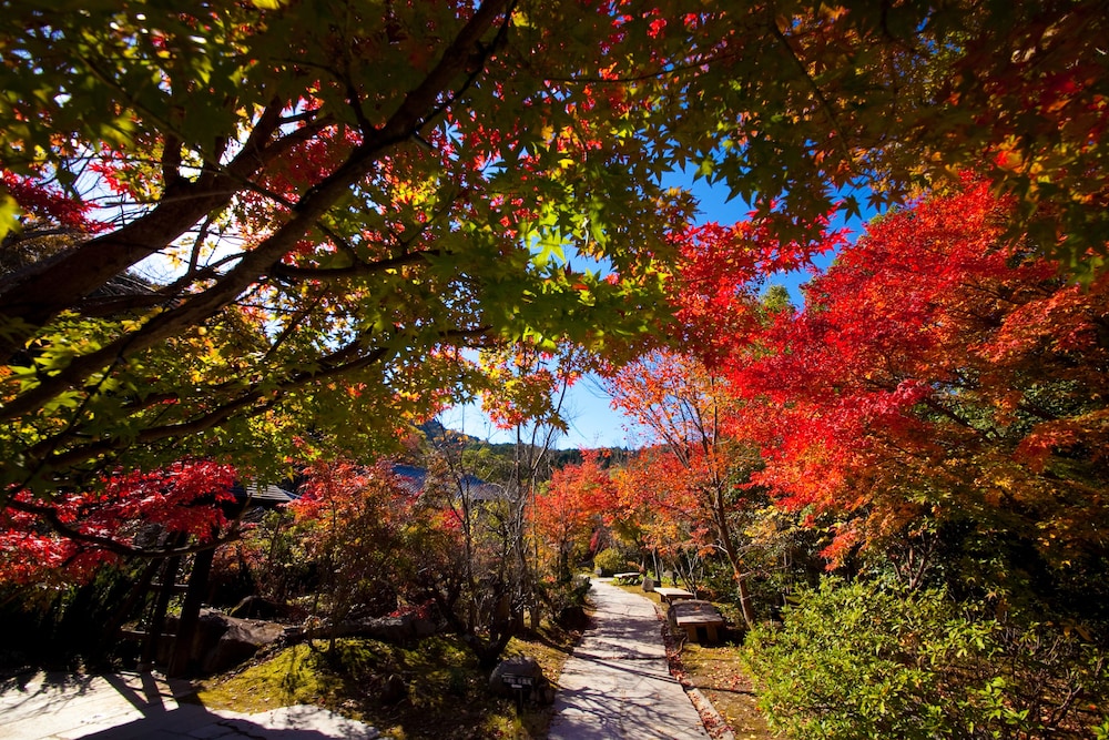 こがね山荘 大分