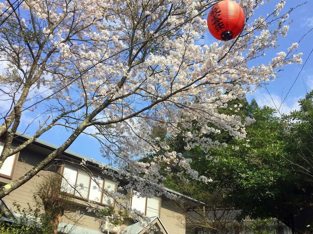 宿彩 暁雲荘 大分