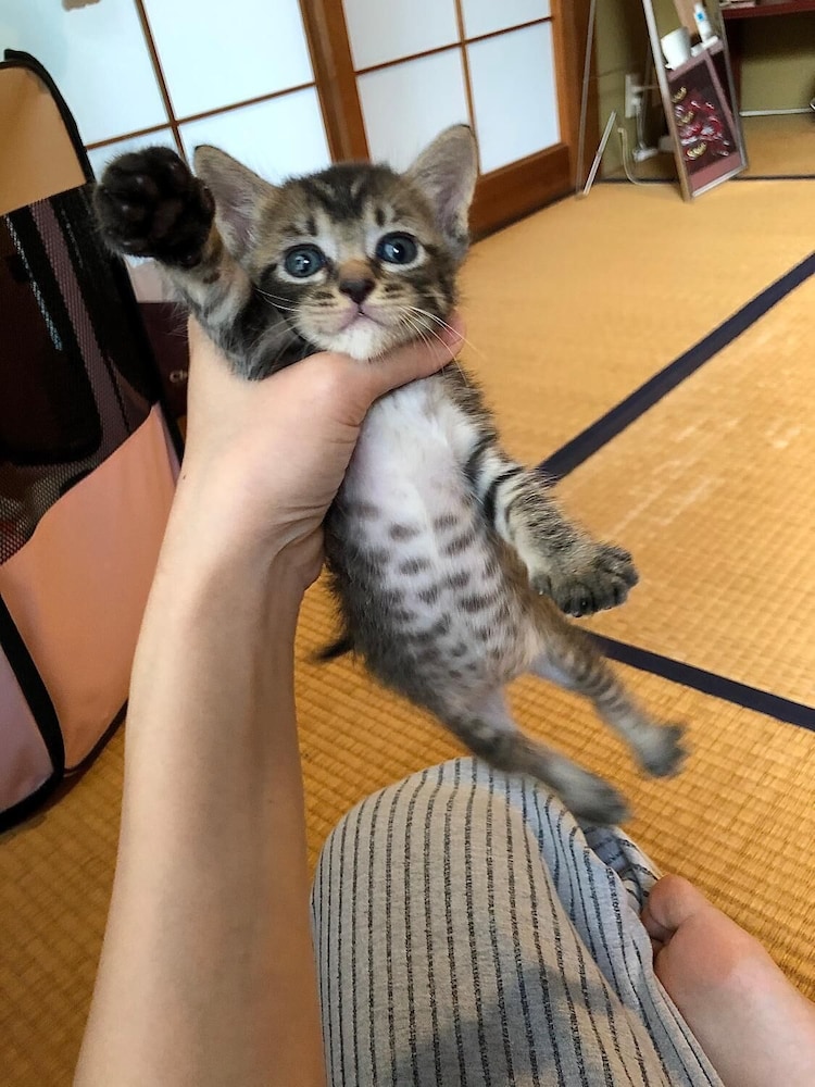 イミオラハウス 大分