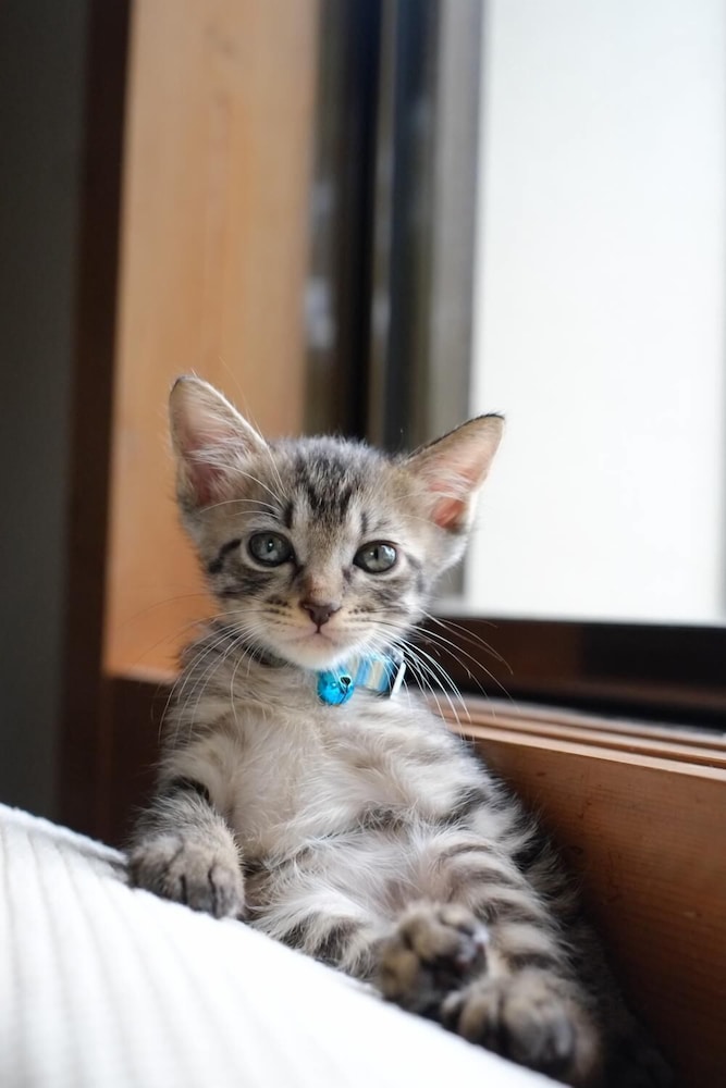 イミオラハウス 大分