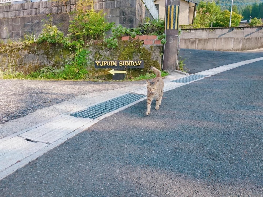 湯布院 サンデー 大分