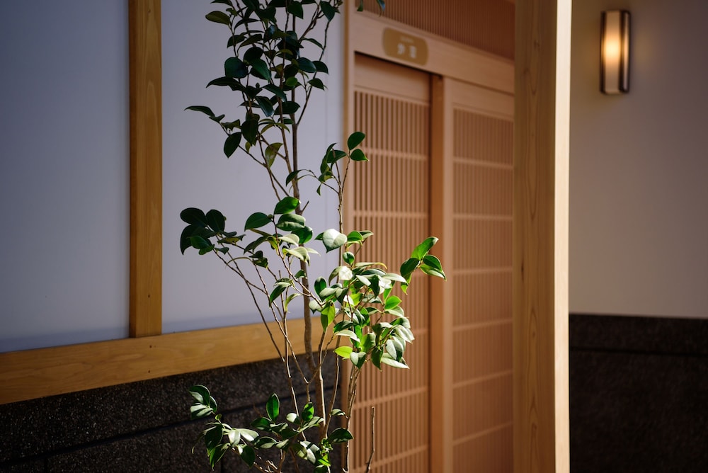 古都の花心 大分