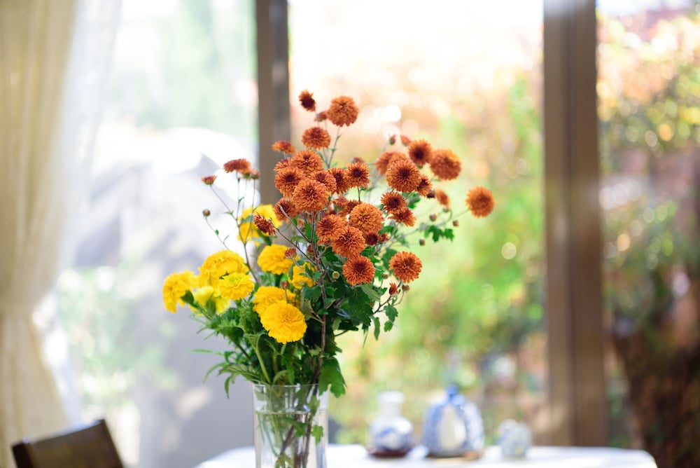 古都の花心 大分