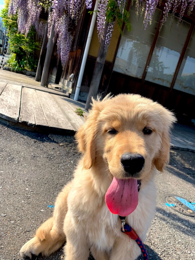 和モダン温泉館 湯布院あかりの宿 大分