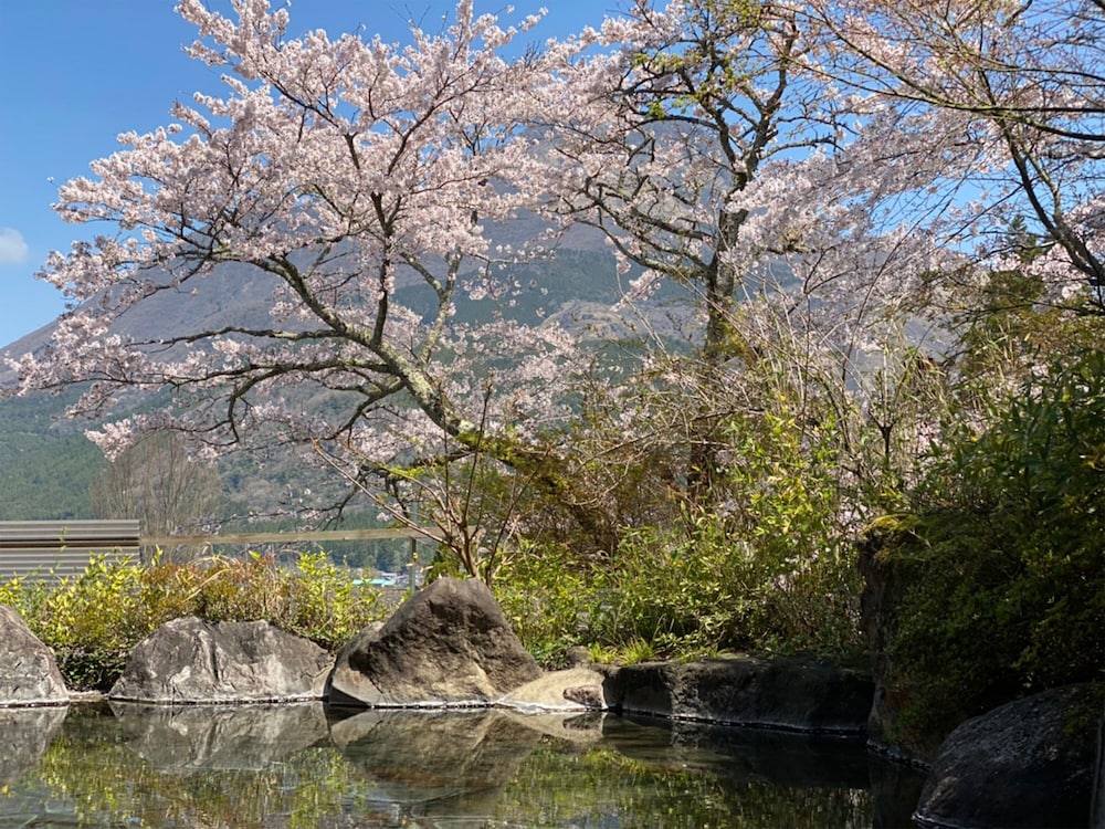 風の山荘 山城 大分