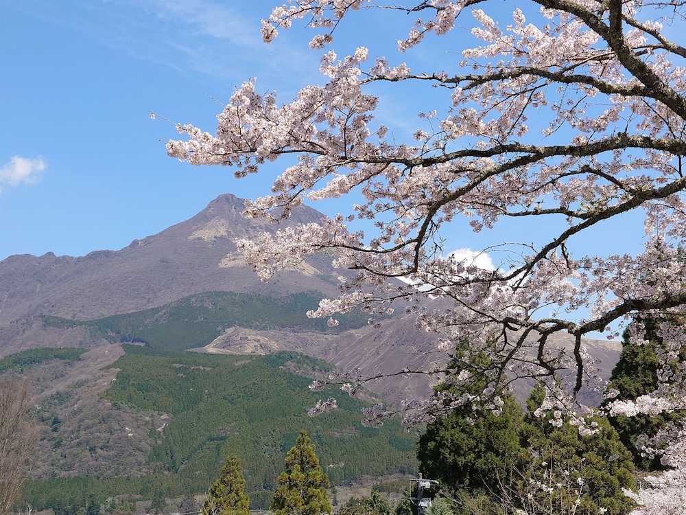 風の山荘 山城 大分