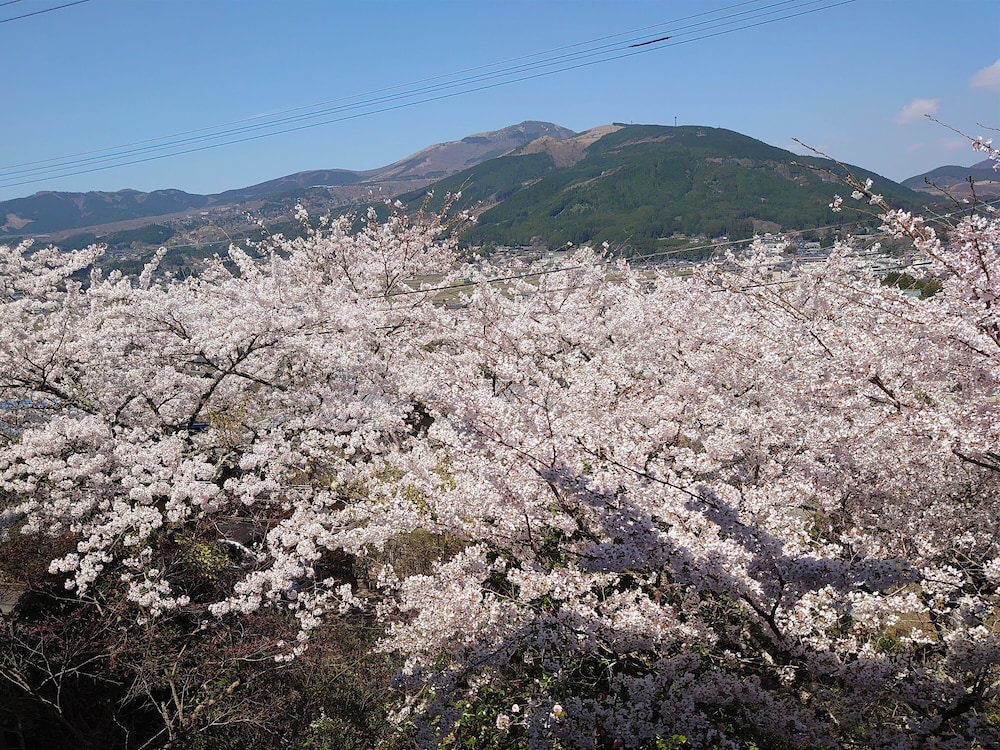 風の山荘 山城 大分