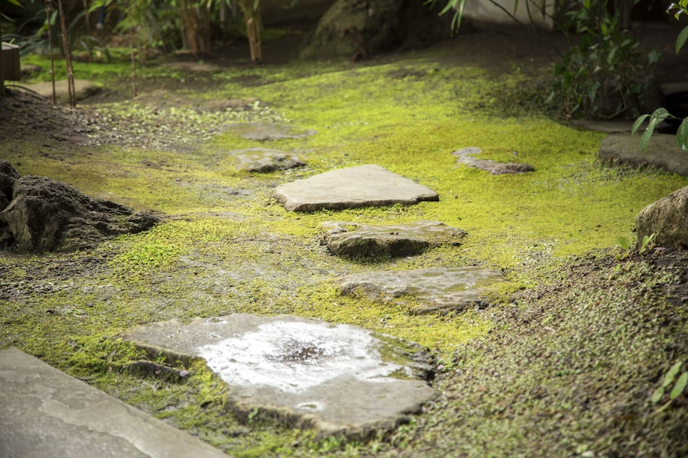湯布院 御宿なか屋 大分