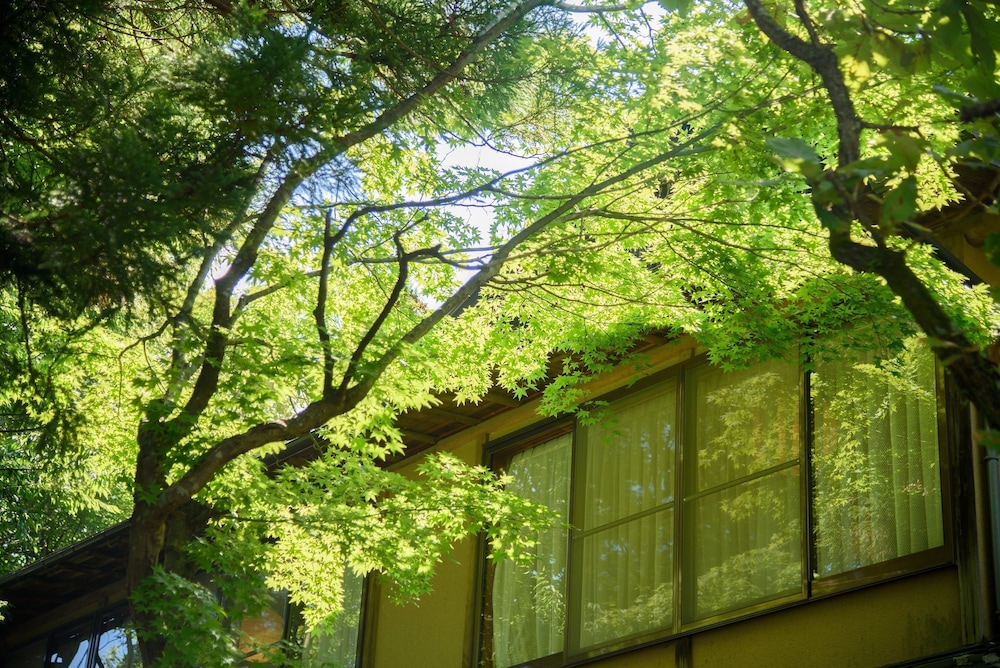 山のホテル 夢想園 大分