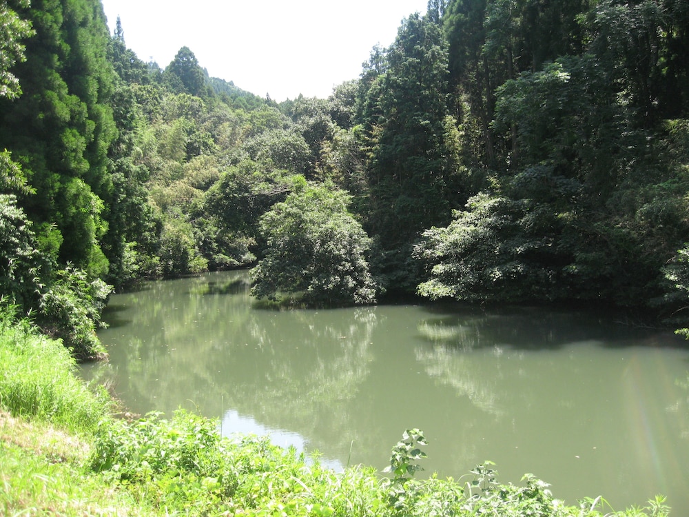 ゲストハウス フキエアス 大分