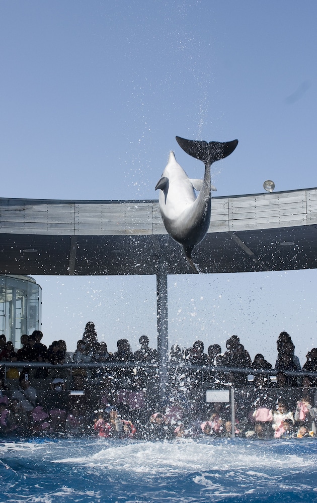 ホテルザーズ 大分